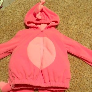 Pink Felt Dinosaur Hoodie and Pant 18 Months